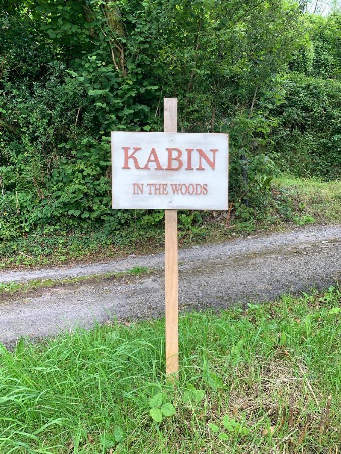 Llandybie Kabin In The Woods מראה חיצוני תמונה