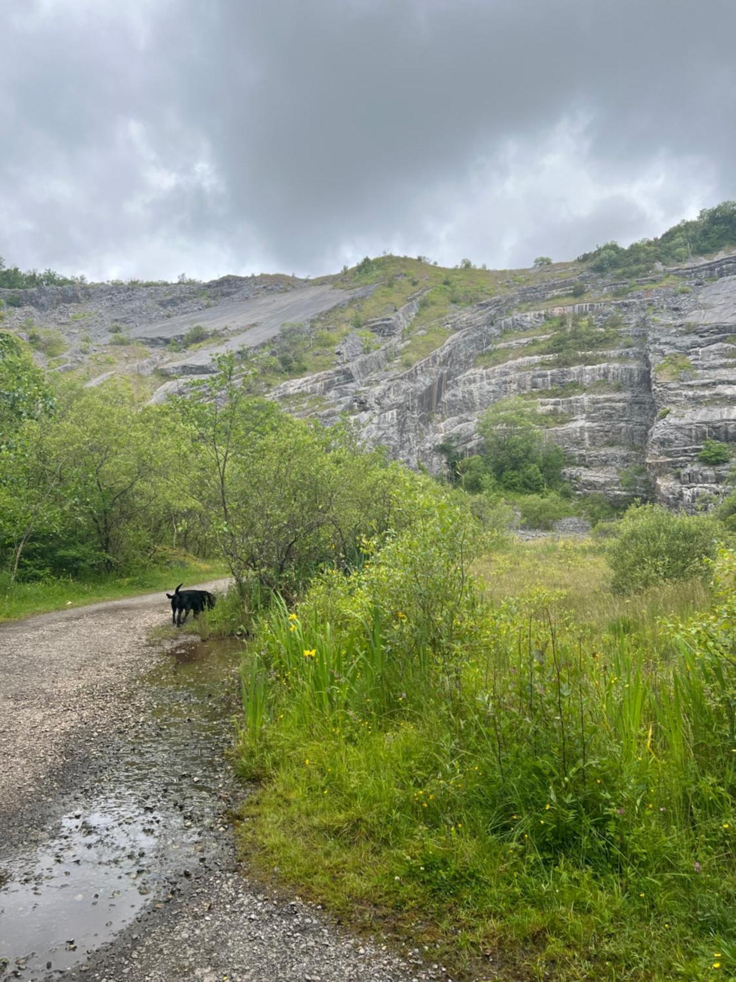 הוילה Llandybie Kabin In The Woods מראה חיצוני תמונה